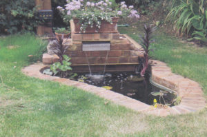 pond feature
