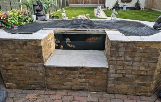 Garden Pond Builder Croydon