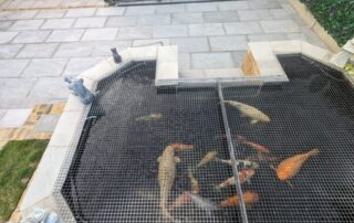 Garden Patio Transformation in Croydon – Showcasing a Koi Fish Pond