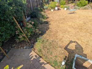 Existing patio and lawn edge before the Bexley paving project
