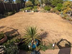 Wide view of the rear garden before the new block paving path