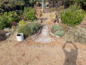 Original narrow garden path before the block paving work in Bexley